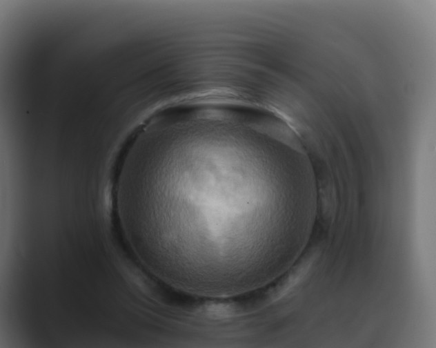 X0000089720350200706281535