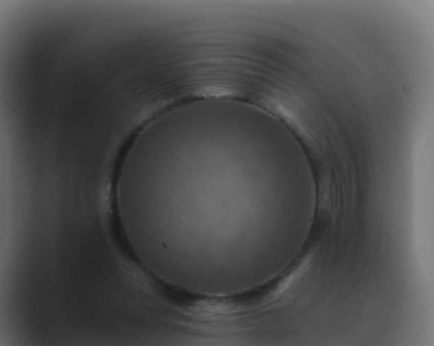 X0000089720351200706281535