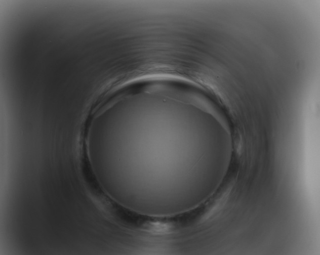 X0000089720352200706281535