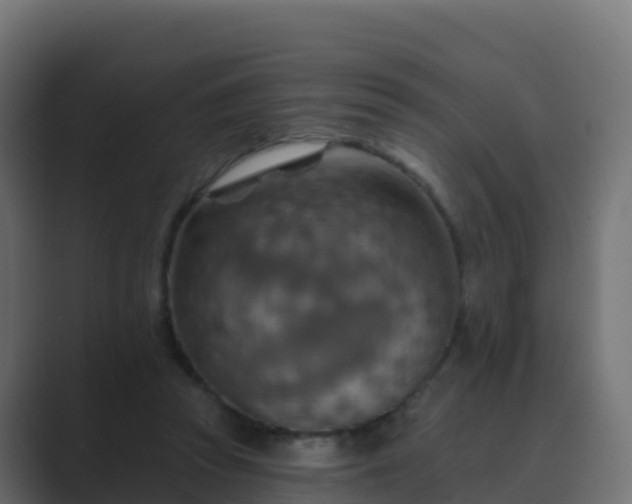 X0000089720353200706281535