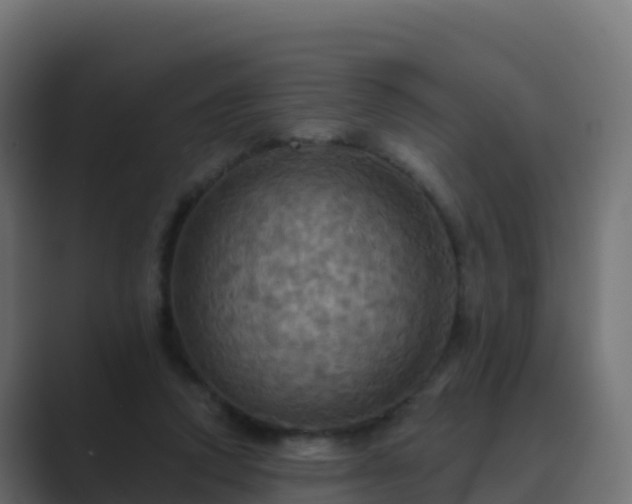 X0000089720354200706281535