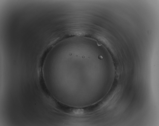 X0000089720355200706281535