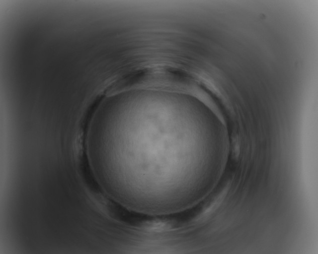 X0000089720356200706281535