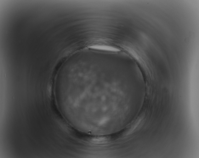 X0000089720357200706281535
