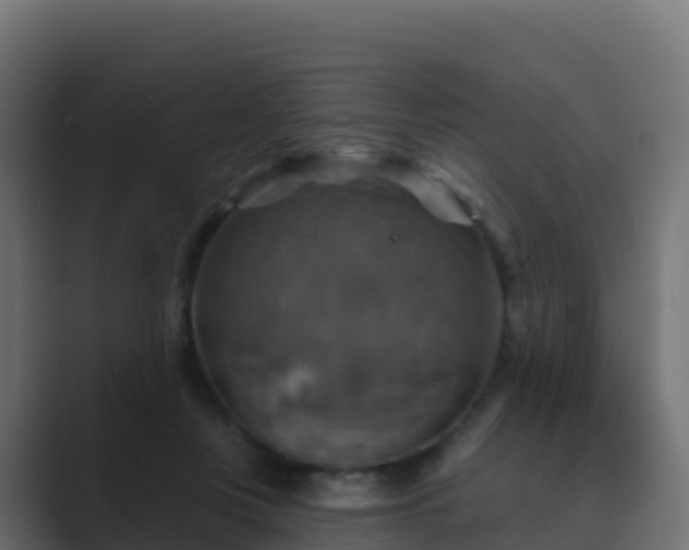 X0000089720359200706281535