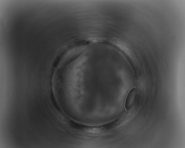 X0000089720361200706281535