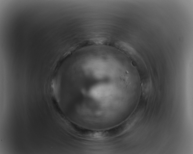 X0000089720365200706281535