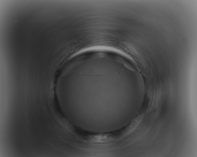 X0000089720366200706281535