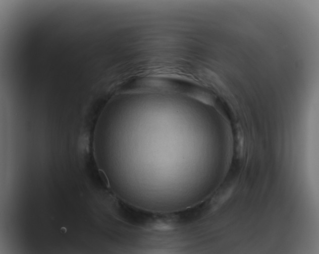 X0000089720368200706281535