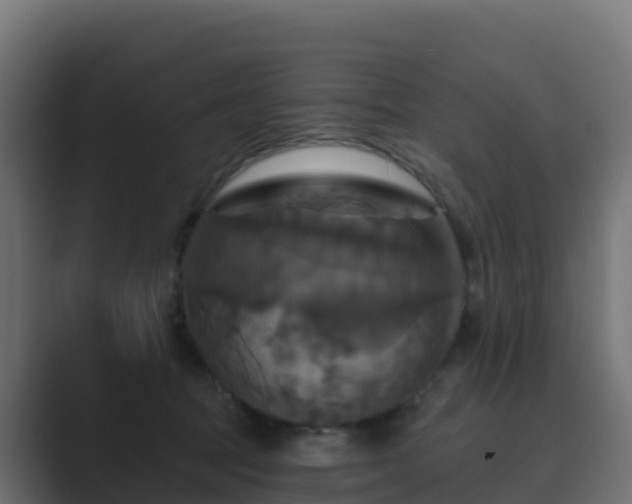 X0000089720369200706281535