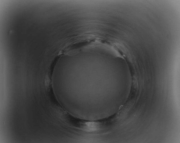X0000089720371200706281535