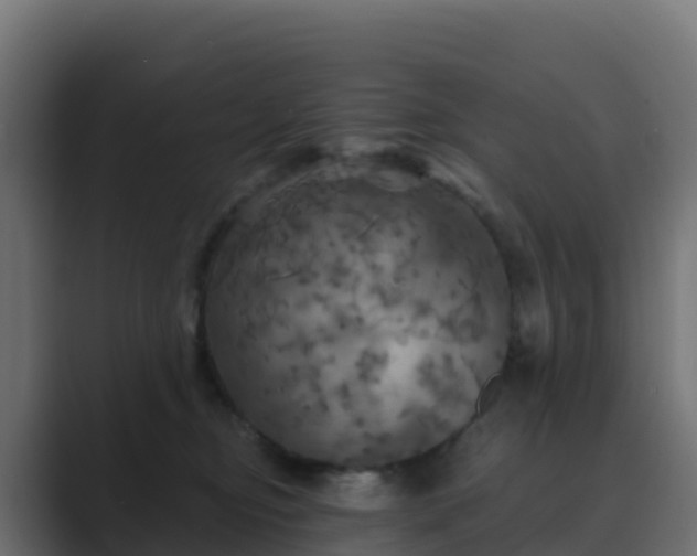 X0000089720374200706281535