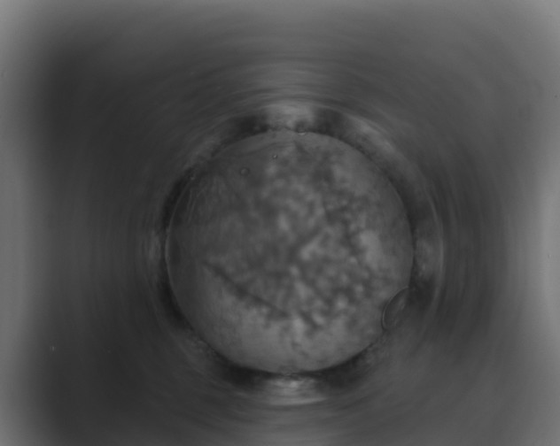 X0000089720375200706281535