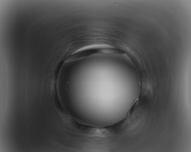 X0000089720379200706281535