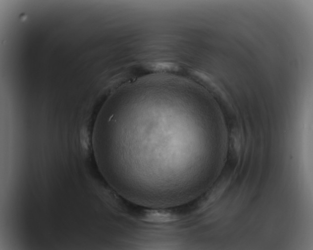 X0000089720380200706281535