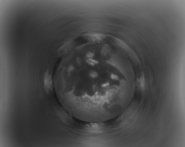 X0000089720381200706281535