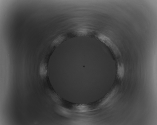 X0000089720383200706281535