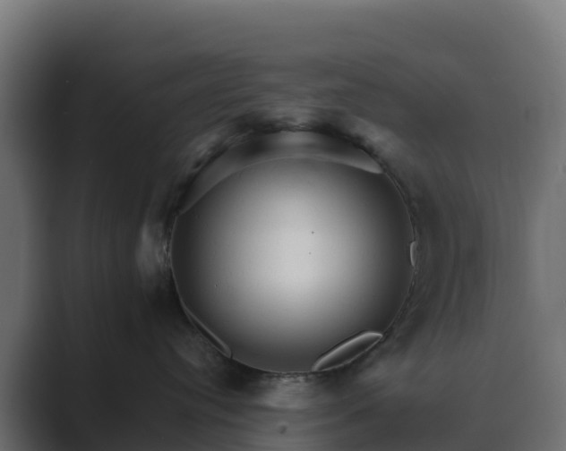 X0000089720384200706281535