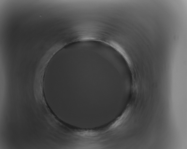 X0000089720385200706281535