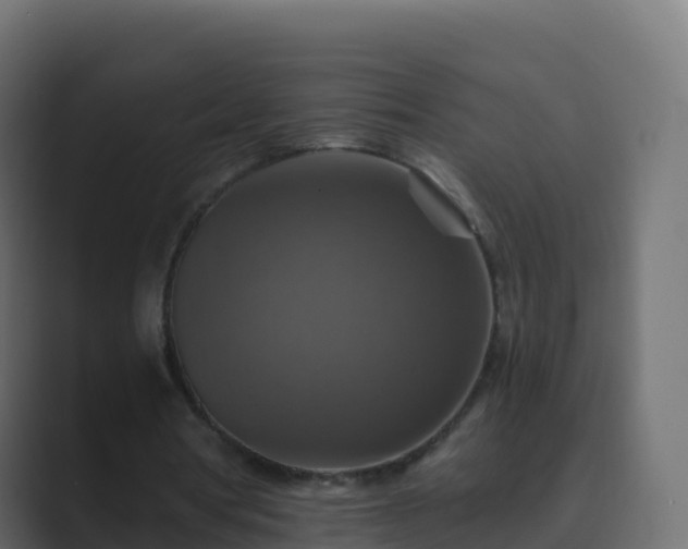 X0000089720386200706281535