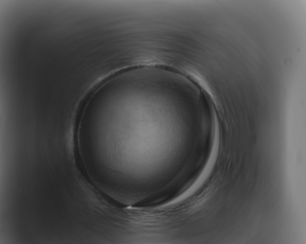 X0000089720387200706281535