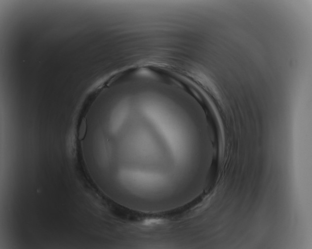 X0000089720388200706281535