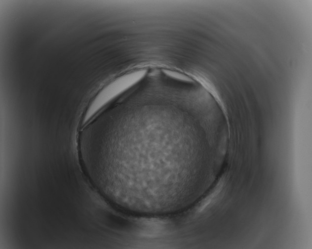 X0000089720389200706281535