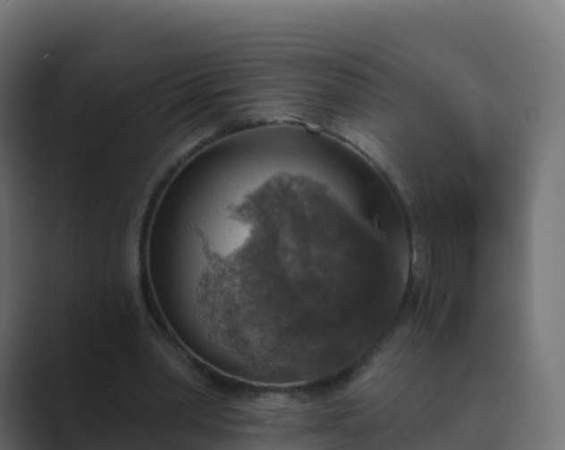 X0000089720390200706281535
