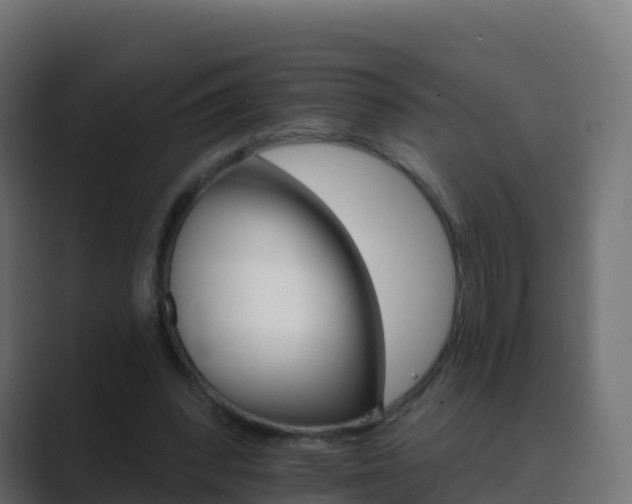 X0000089720392200706281535