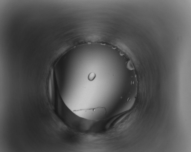 X0000089720393200706281535