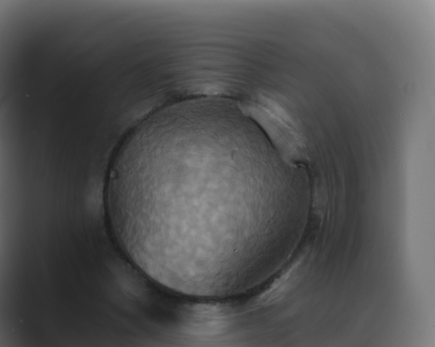 X0000089720394200706281535