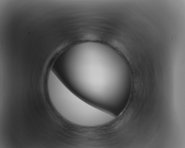 X0000089720395200706281534