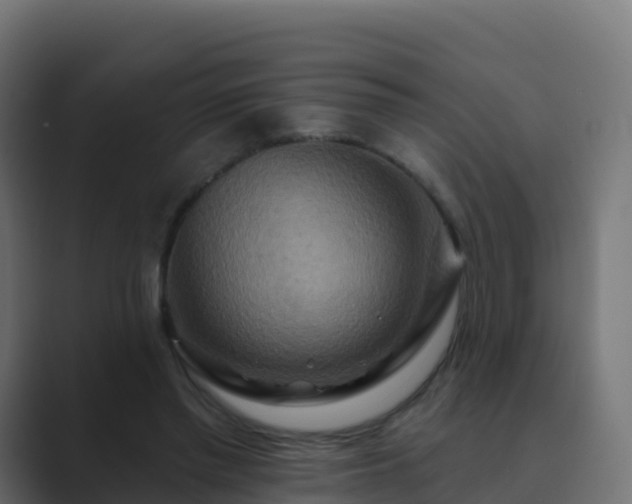 X0000089720397200706281534