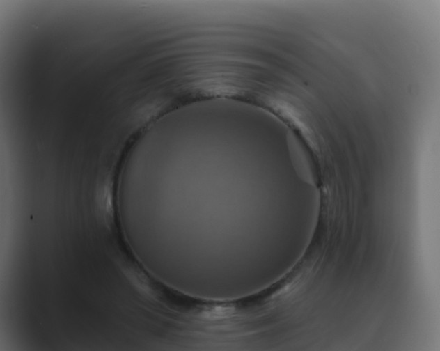 X0000089720398200706281534