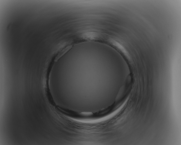 X0000089720399200706281534