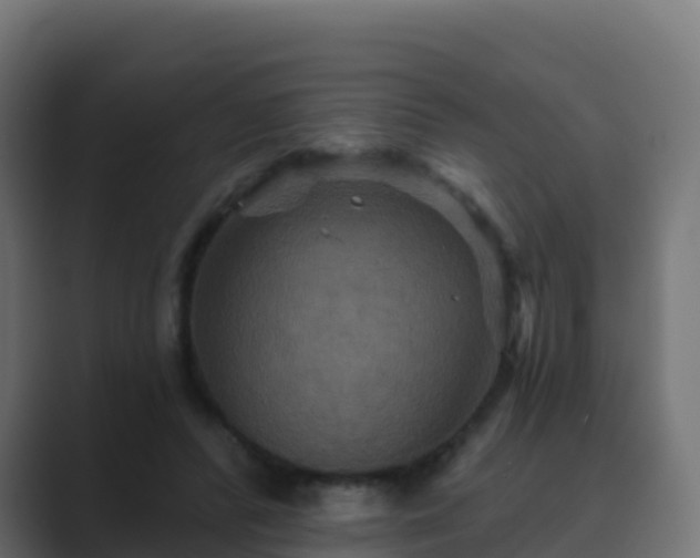 X0000089720400200706281534
