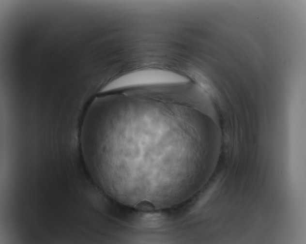 X0000089720401200706281534