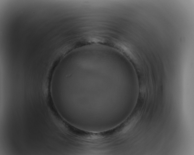 X0000089720402200706281534