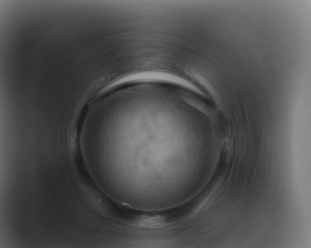 X0000089720403200706281534