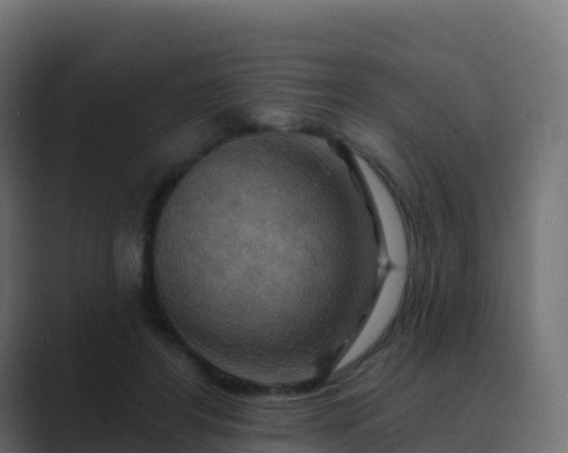 X0000089720404200706281534