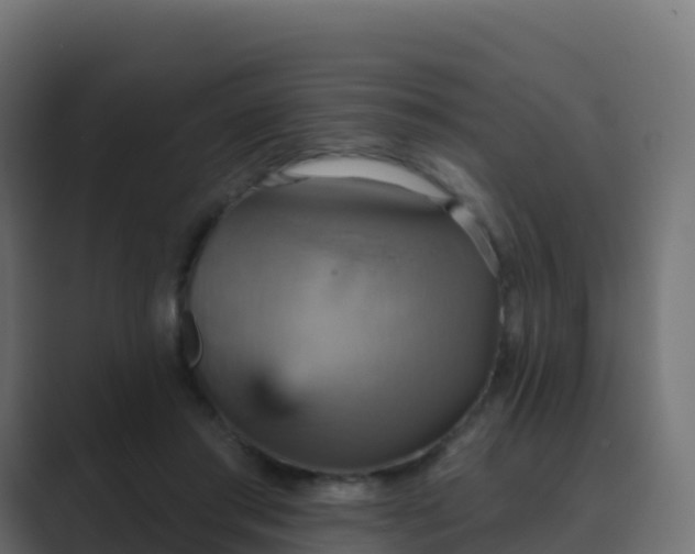 X0000089720405200706281534