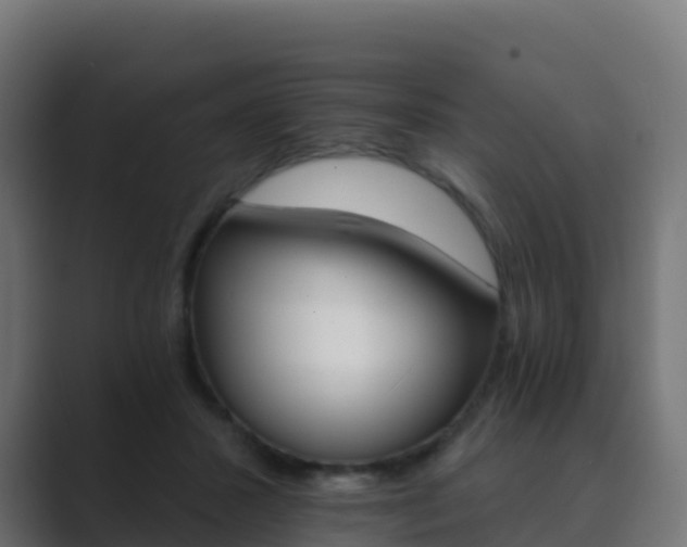 X0000089720407200706281534