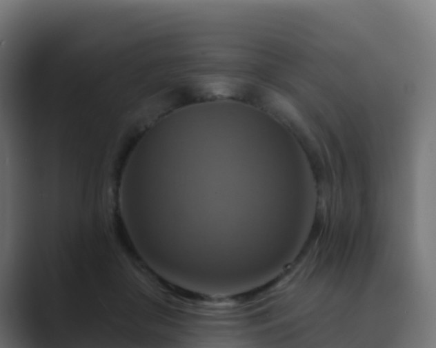 X0000089720410200706281534