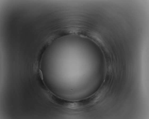 X0000089720411200706281534