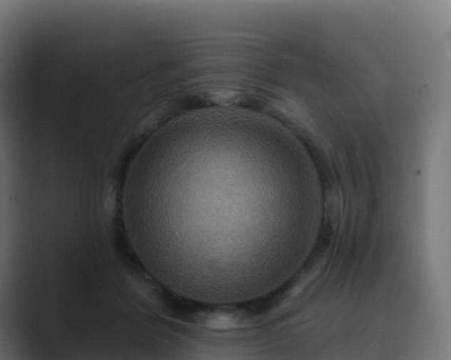 X0000089720412200706281534