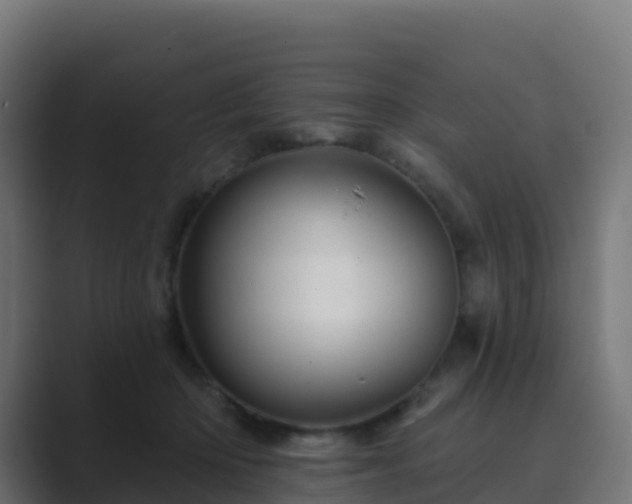 X0000089720414200706281534