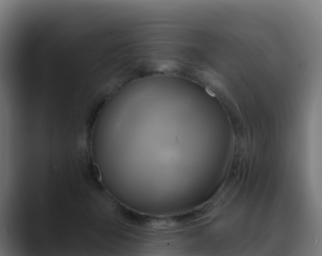 X0000089720415200706281534