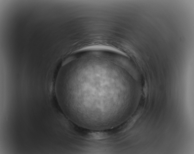 X0000089720417200706281534
