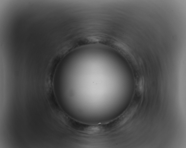 X0000089720418200706281534
