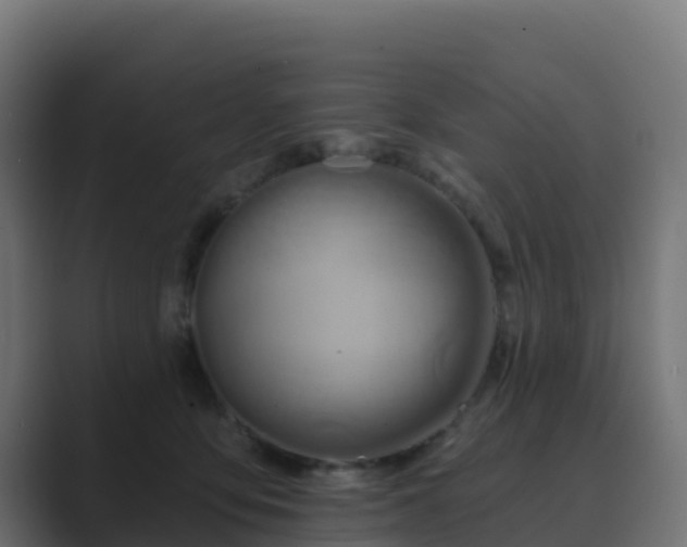 X0000089720419200706281534